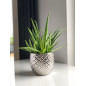 Doniczka Osłonka Srebrna Ceramiczna Dekoracyjna Glamour Ozdobna 11 cm Doniczka Osłonka Srebrna Ceramiczna Dekoracyjna Glamour Ozdobna 11 cm