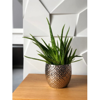 Doniczka Osłonka Srebrna Ceramiczna Dekoracyjna Glamour Ozdobna 11 cm