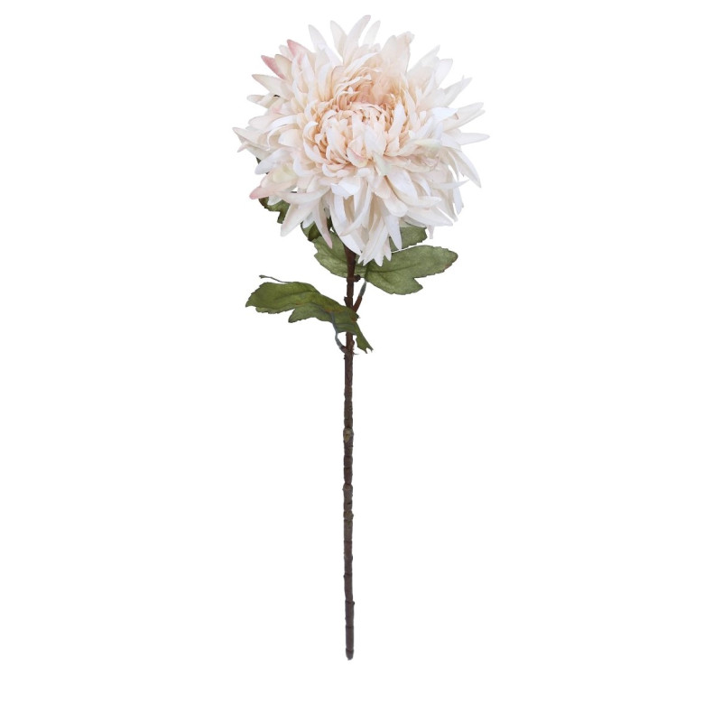 Chryzantema na łodydze 78cm jasny róż Chryzantema na łodydze 78cm jasny róż