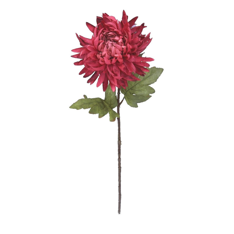 Chryzantema bordowa na łodydze 78cm Chryzantema bordowa na łodydze 78cm