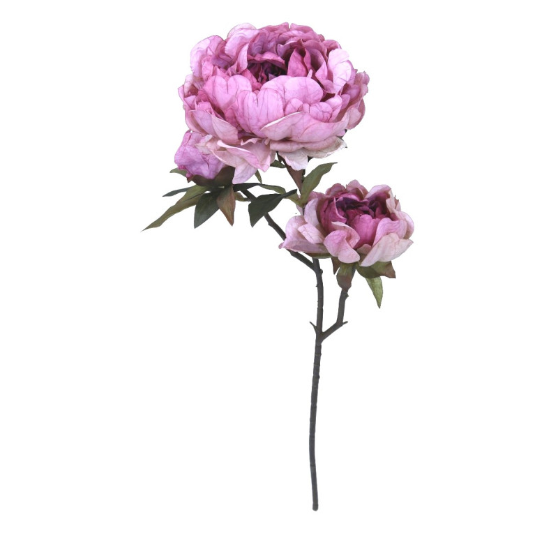 Piwonia różowa na łodydze 84 cm Piwonia różowa na łodydze 84 cm