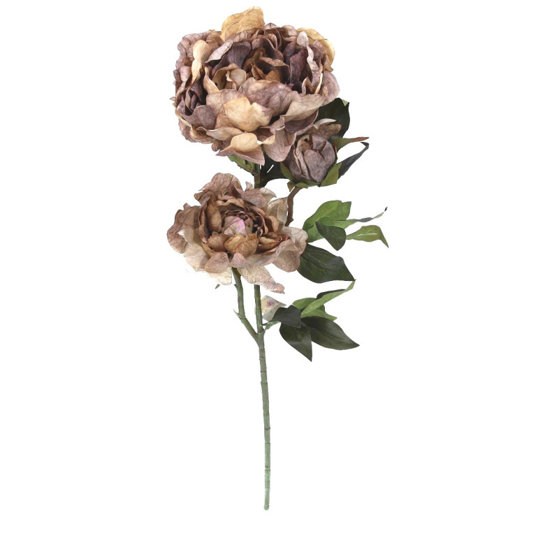 Piwonia brązowa na łodydze 84 cm Piwonia brązowa na łodydze 84 cm