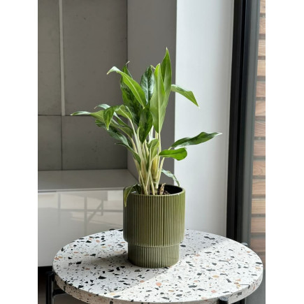 Osłonka Doniczka Ceramiczna Zielona Połysk Karbowana Ozdobna Dekoracja 13 cm