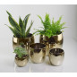 Osłonka Ceramiczna Kula Złota Gold Glamour Dekoracyjna Połysk Osłonka Ceramiczna Kula Złota Gold Glamour Dekoracyjna Połysk