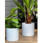 Doniczka Osłonka Ceramiczna Walec Cylinder Biały Do Kwiatów 13cm Doniczka Osłonka Ceramiczna Walec Cylinder Biały Do Kwiatów 13cm