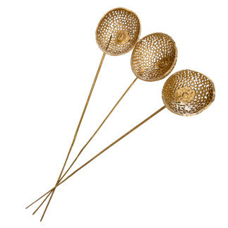 Bell Mala Dzwoneczkowa Mela 7-10 cm Złota 50 cm Naturalny Susz Ozdobny 3szt