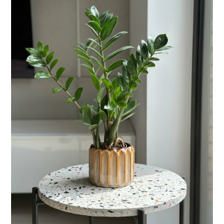 Doniczka Osłonka Ceramiczna Walec Cylinder Beż Brąz Do Kwiatów Piano