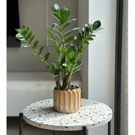 Doniczka Osłonka Ceramiczna Walec Cylinder Beż Brąz Do Kwiatów Piano