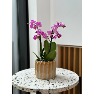 Doniczka Osłonka Ceramiczna Walec Cylinder Beż Brąz Do Kwiatów Piano