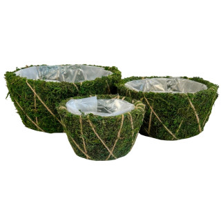 Komplet Osłonek z Mchu do kwiatów Kompozycji z Mchu Naturalna Mech 25 cm