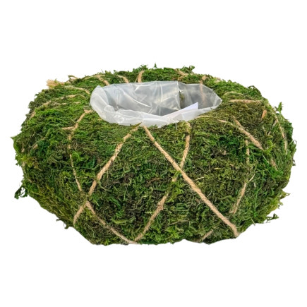 Osłonka Koszyk z Mchu do kwiatów Kompozycji z Mchu Naturalna Mech 22 cm