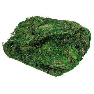 Mech Dekoracyjny do Kompozycji Stroików Aranżacji Zielony Suchy 500 gram