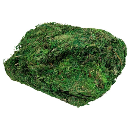 Mech Dekoracyjny do Kompozycji Stroików Aranżacji Zielony Suchy 500 gram