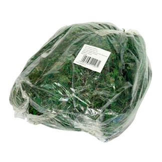 Mech Dekoracyjny do Kompozycji Stroików Aranżacji Zielony Suchy 500 gram