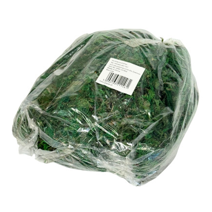Mech Dekoracyjny do Kompozycji Stroików Aranżacji Zielony Suchy 500 gram