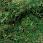 Mech Dekoracyjny do Kompozycji Stroików Aranżacji Zielony Suchy 500 gram Mech Dekoracyjny do Kompozycji Stroików Aranżacji Zielony Suchy 500 gram