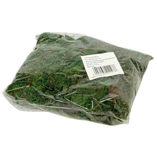 Mech Dekoracyjny do Kompozycji Stroików Aranżacji Zielony Suchy 120 gram