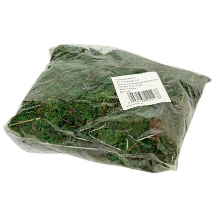 Mech Dekoracyjny do Kompozycji Stroików Aranżacji Zielony Suchy 120 gram
